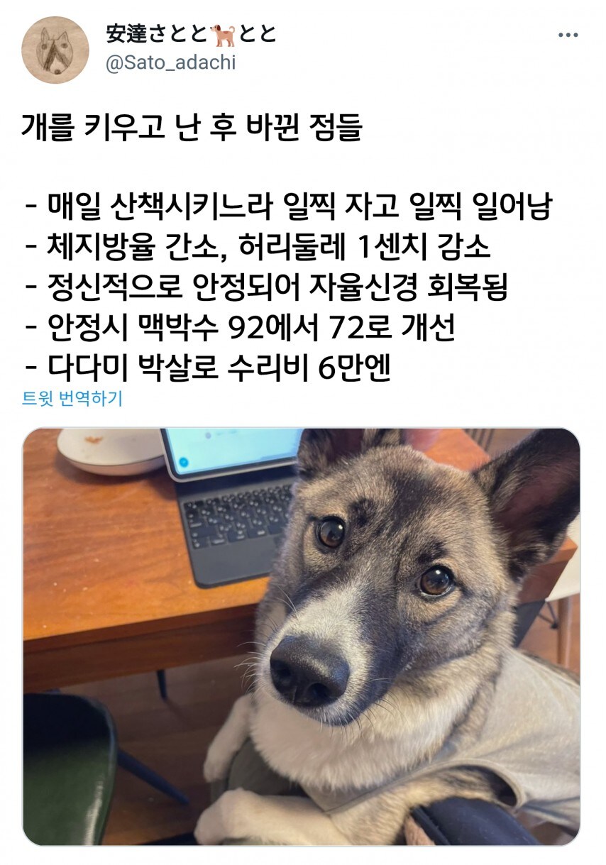 개를 키우고 바뀐 점이 많다는 일본인_1.jpg