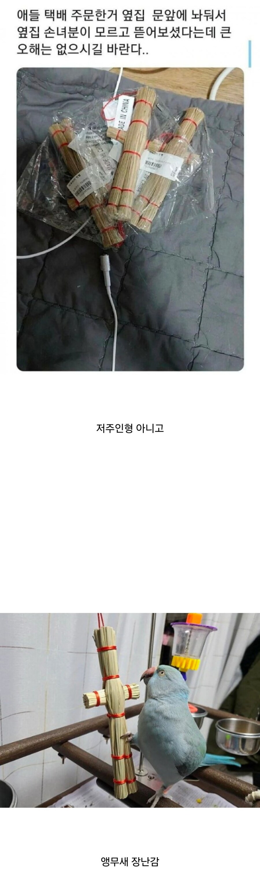 저주인형을 옆집에 들킨 사람_1.jpg