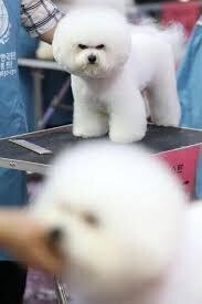 은근 질투나는 상황_1.jpg