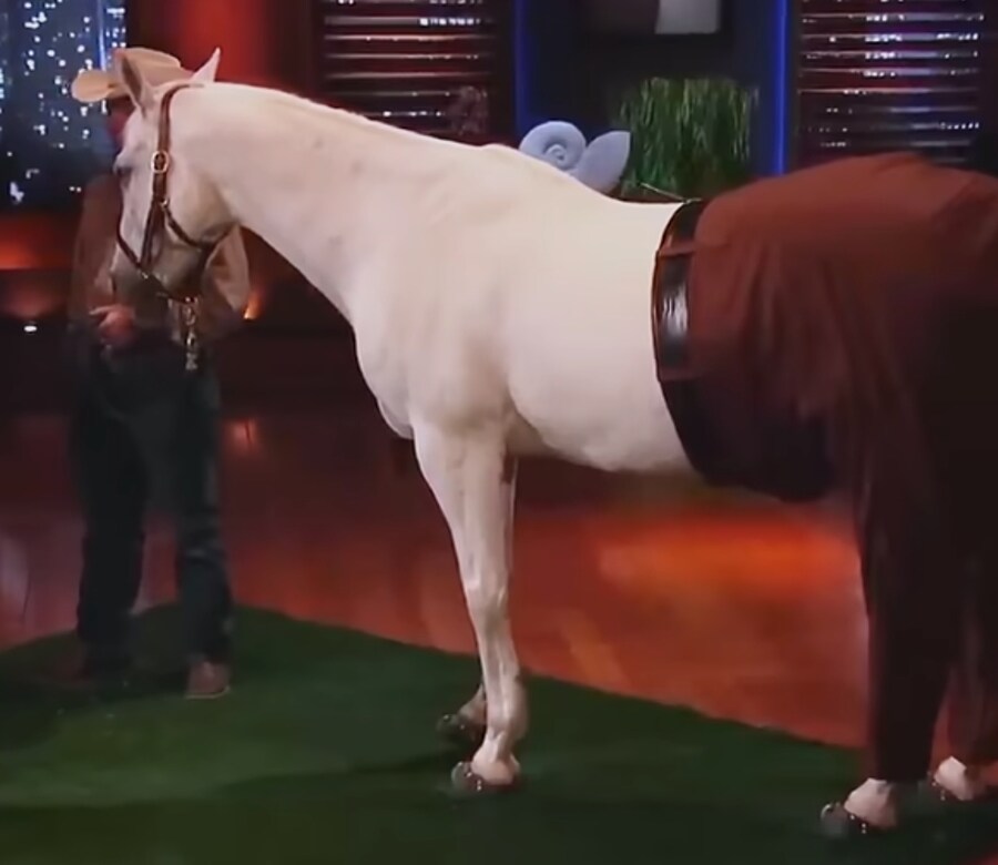 너네 바지입은 말 본적있냐_1.jpg