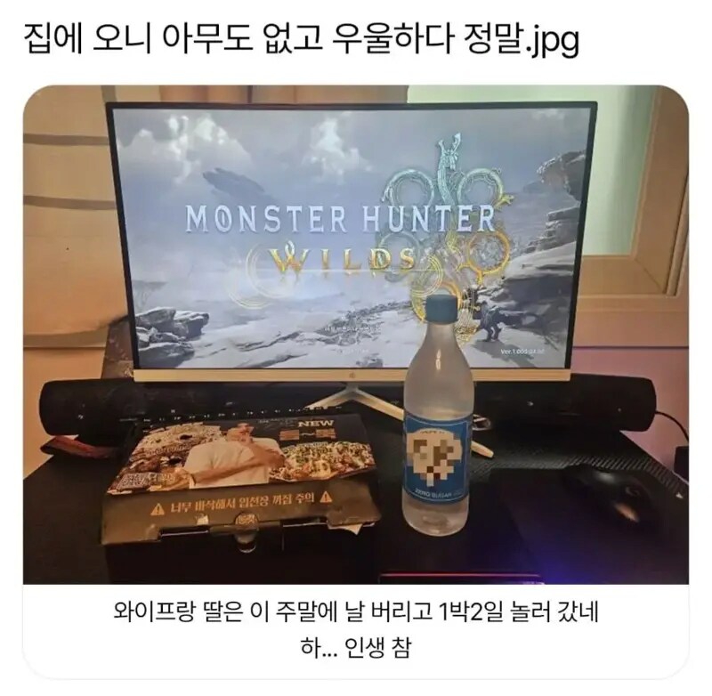 집에 오니까 아무도 없어서 너무 우울하다는 유부남.jpg_1.png