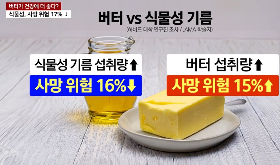 버터 근황.jpg_1.png
