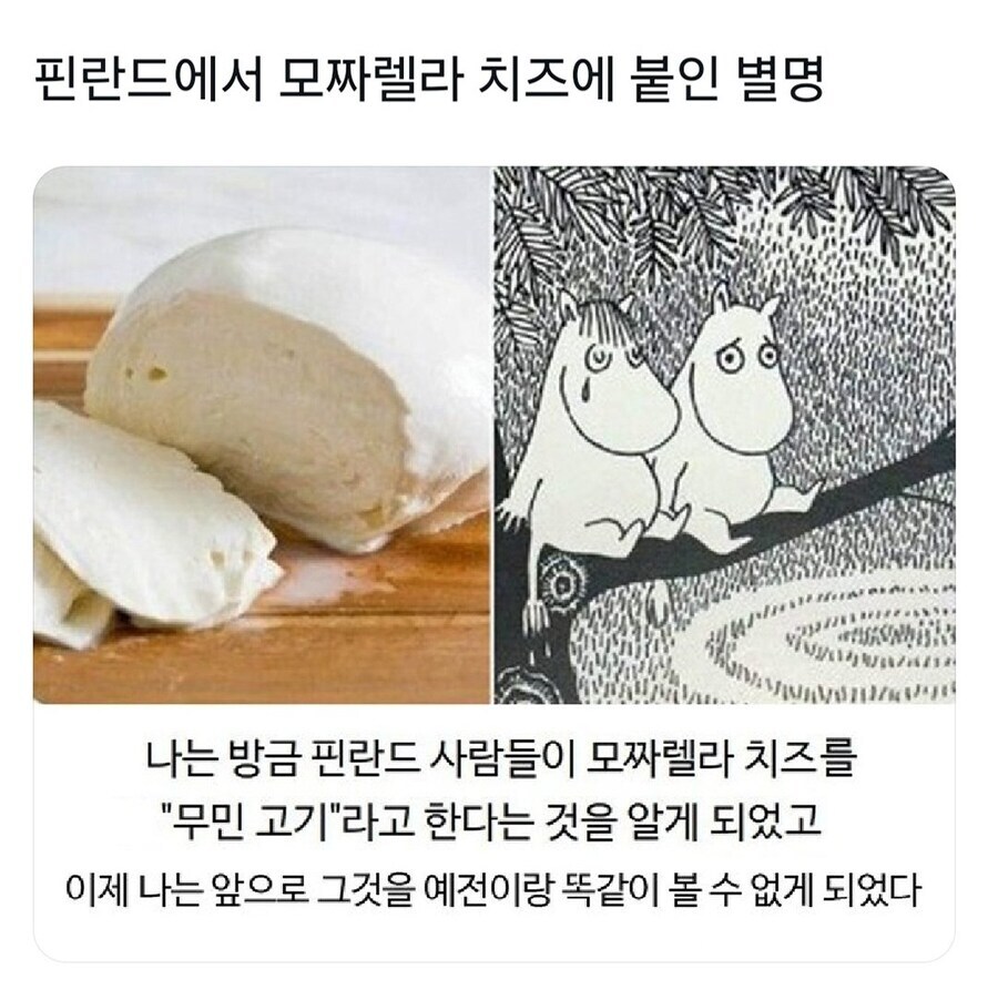 의외로 핀란드에서 고기인것.jpg_1.jpg