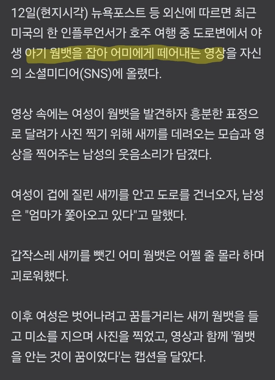 호주에서도 올리버샘 연전연승_1.jpg