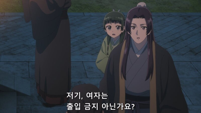 약사의혼잣말) 황제가 마오마오를 자신의 비로 삼지 않는 이유_7.jpg