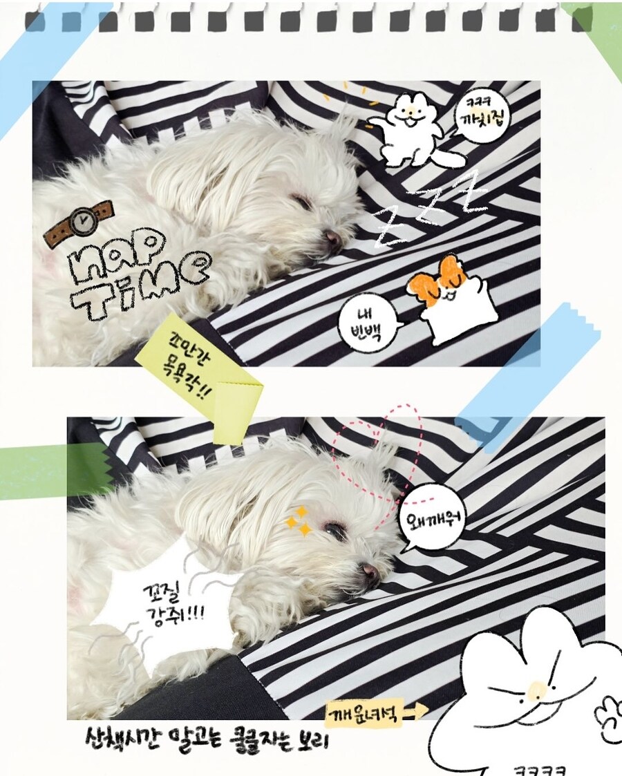 [냥뇽툰] 여름... 캠핑이었다 후기 + 4컷 만화 (강아지 사진도 있어요!)_9.jpg