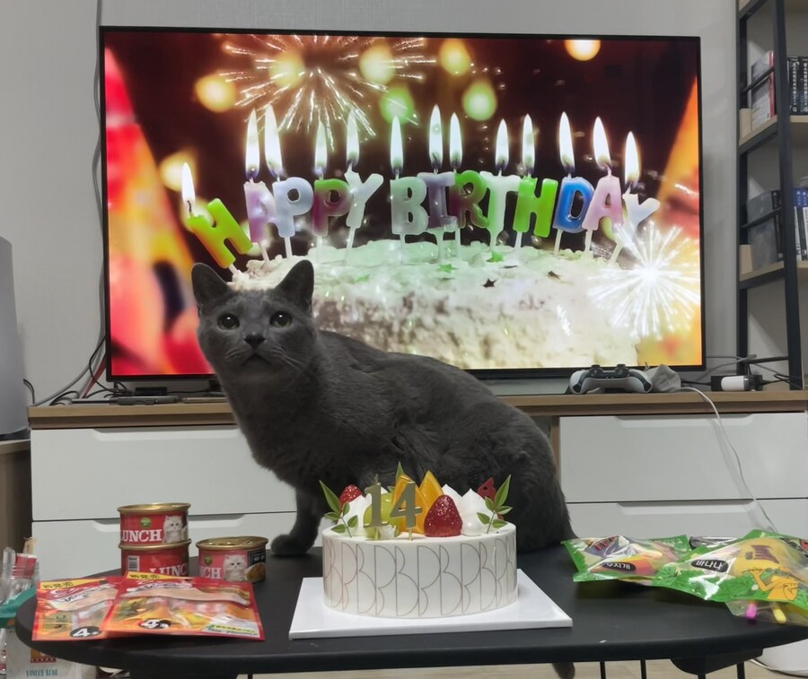 3월13일은 라온이의 14번째 생일이었습니다_1.jpg