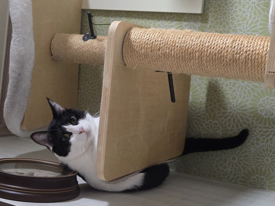 우리집 동물들 보고 갈래?_2.jpg