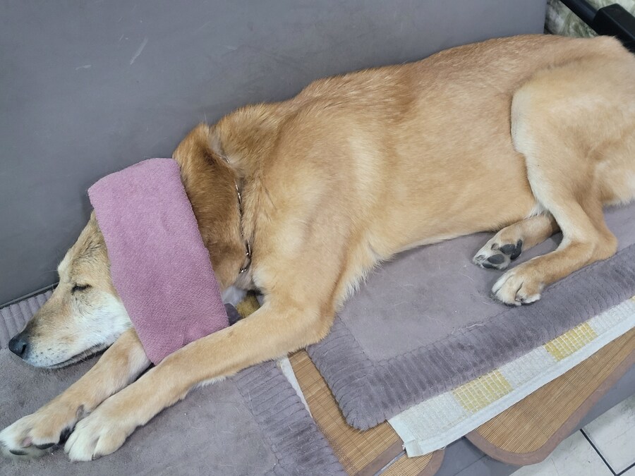 아니 노래좀 따라불렀는대..._1.jpg