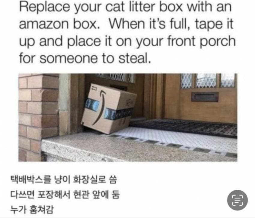 미국의 고양이 똥 처리방법_1.jpg