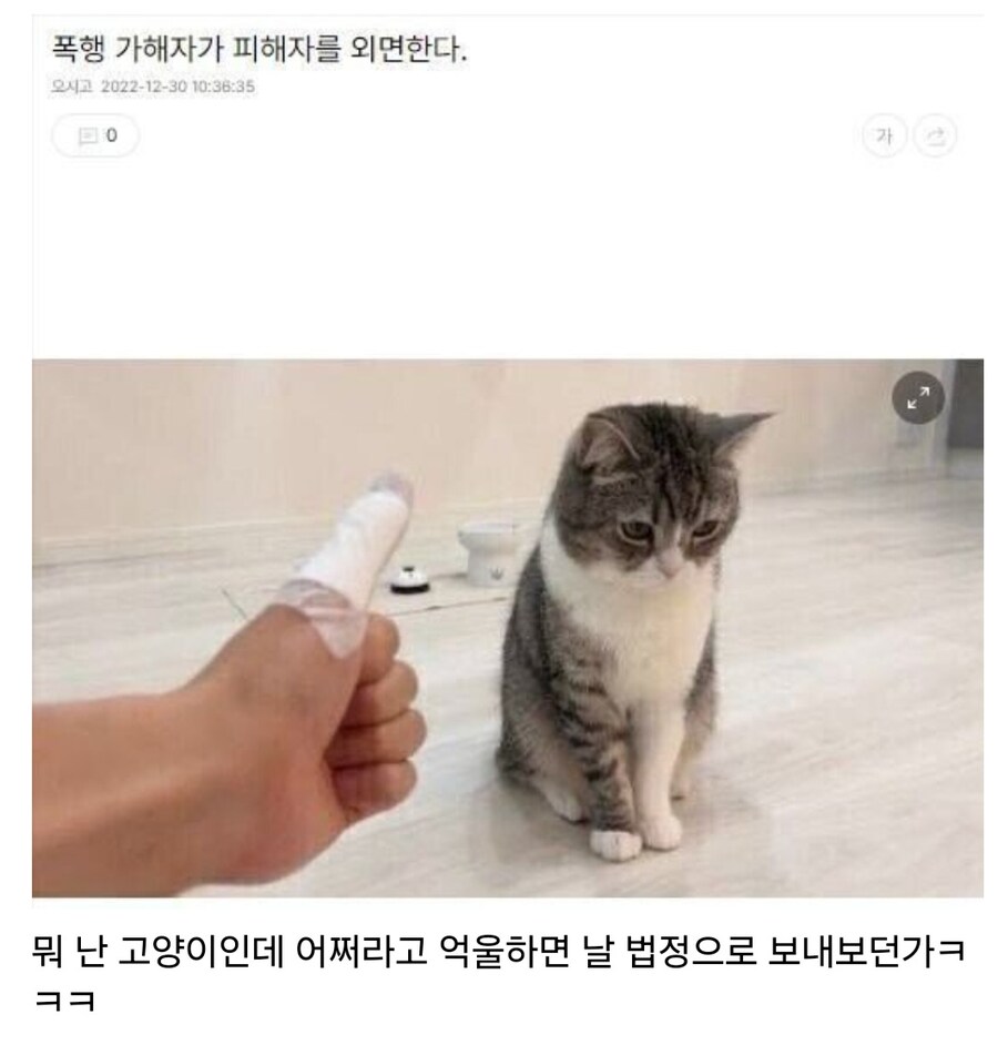 가해자가 피해자를 외면하는 세상.jpg_1.jpg