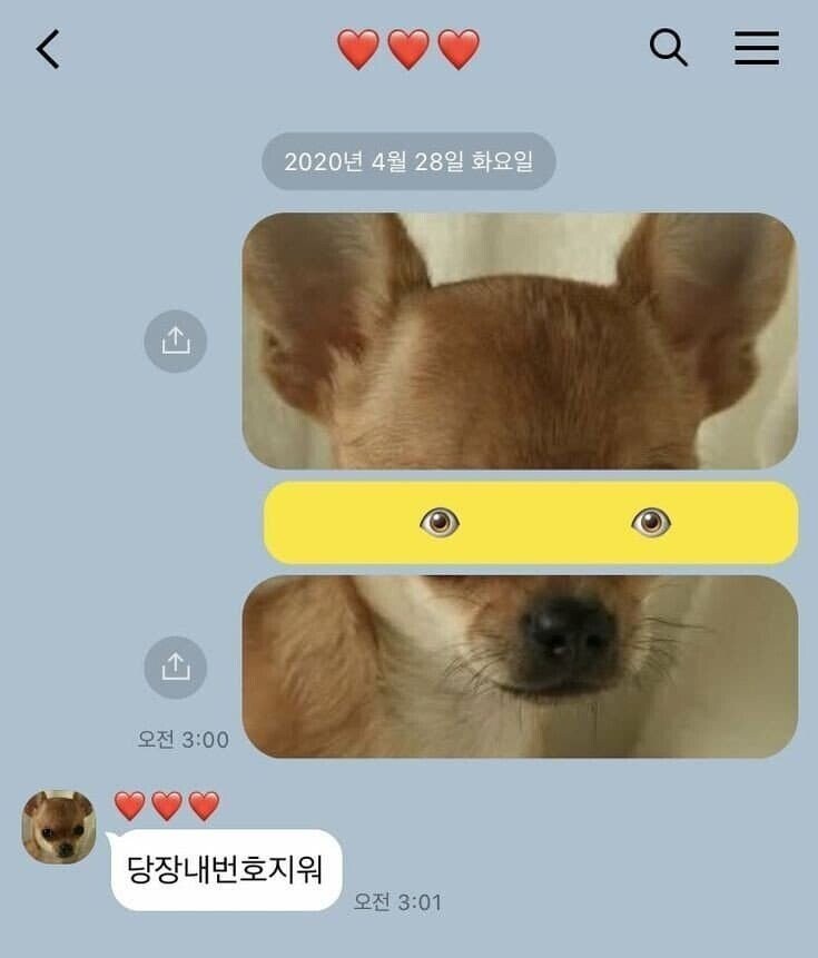 새벽 3시에 전여친에게 보낸 문자.jpg_1.jpg