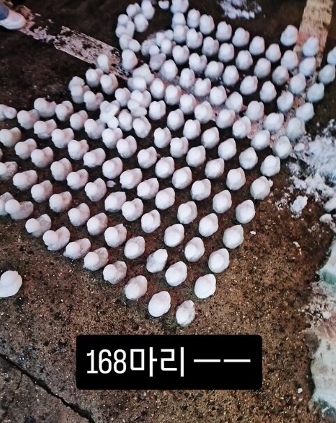 30~40 낭만 보여준다 어린 애들은 모르는 낭만_1.png