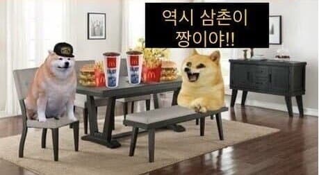 페르소나) 결국 가족이 최고인 이유_3.jpg