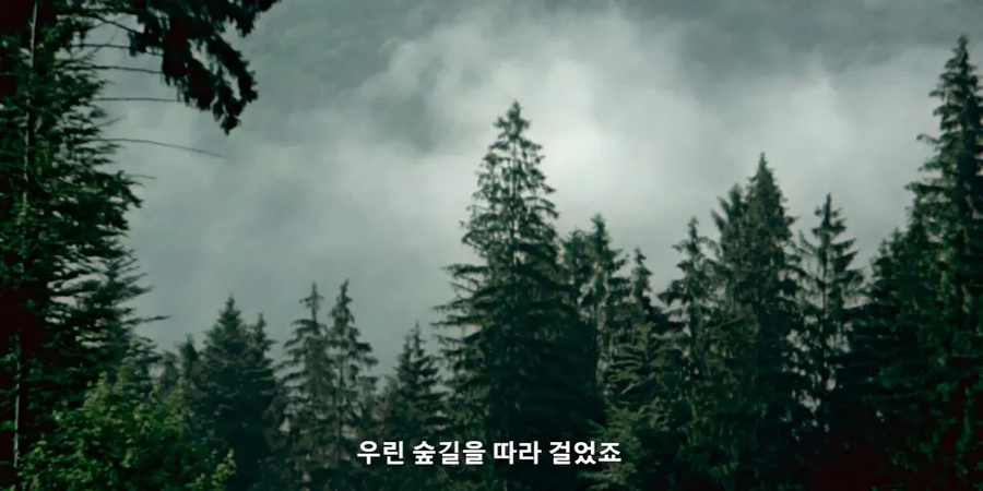 포로 사살 명령을 받은 독일군_6.webp