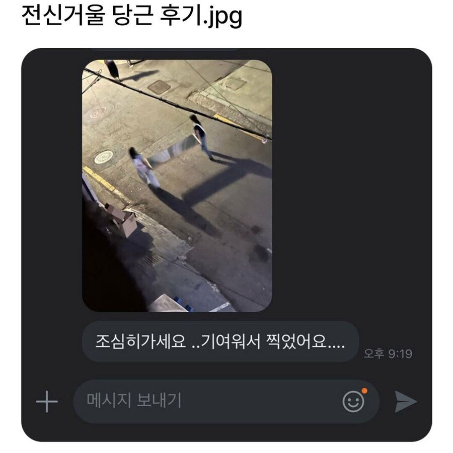 20대 전신거울 당근 후기_1.jpg