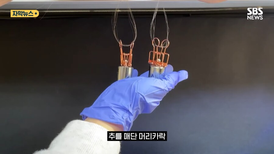 '홍합' 근황류 甲_1.png