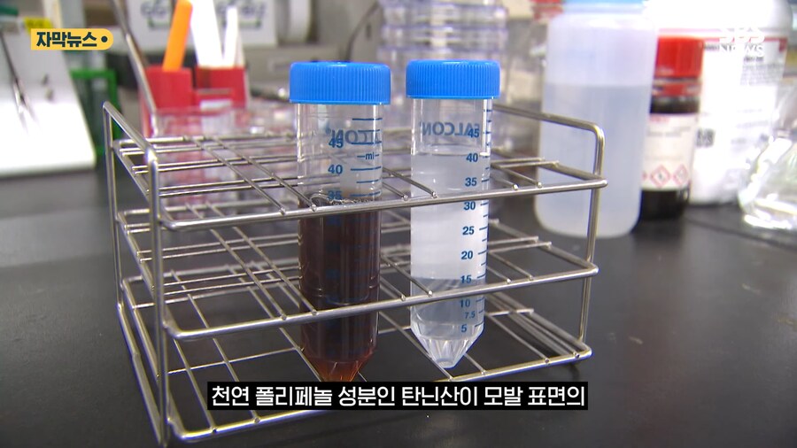 '홍합' 근황류 甲_7.png