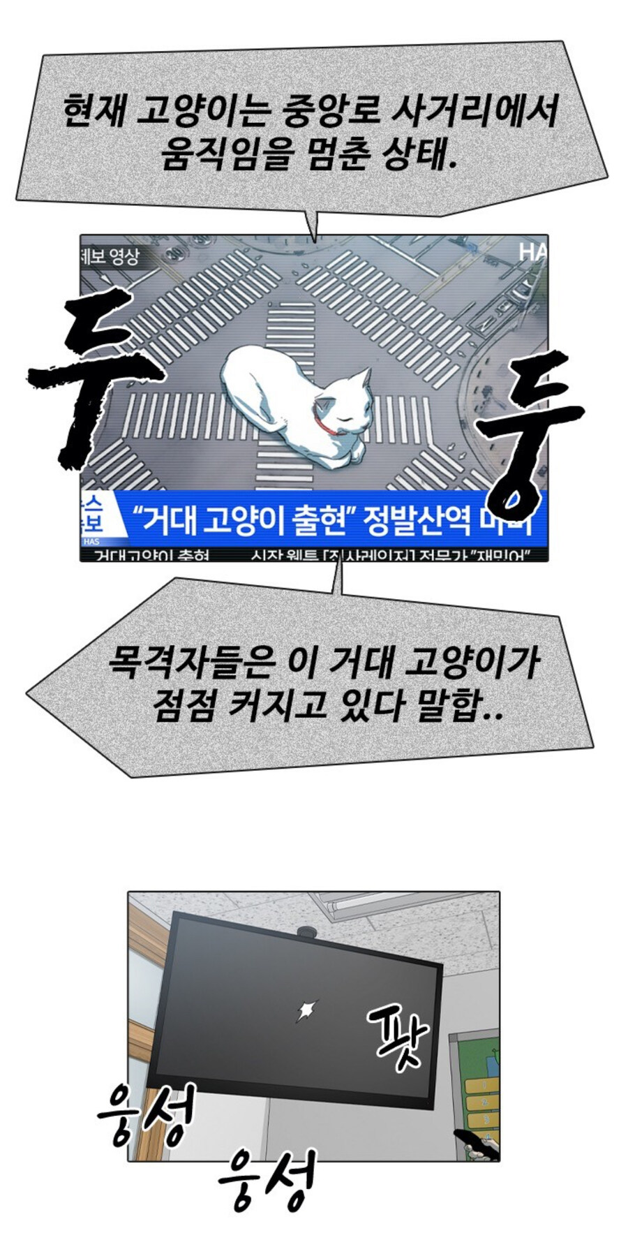 고양이 함부로 버리는 사람 전부 잡아야 하는 이유_11.jpg