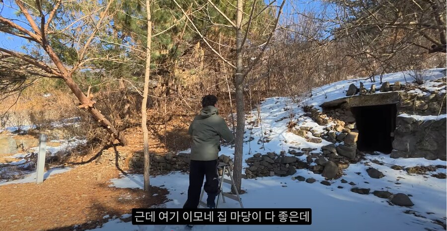 새 모이통은 무조건 높이 달 수록 좋은 이유_1.png