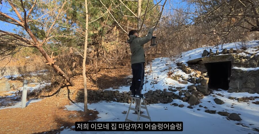 새 모이통은 무조건 높이 달 수록 좋은 이유_6.png