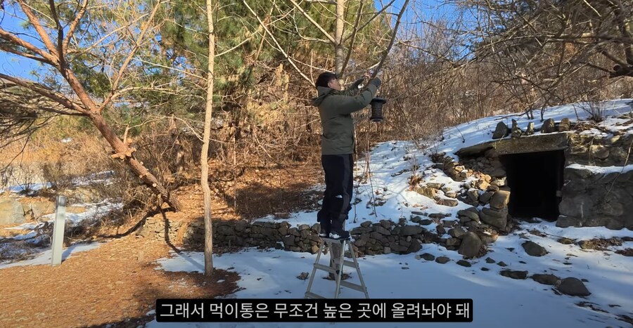 새 모이통은 무조건 높이 달 수록 좋은 이유_8.png