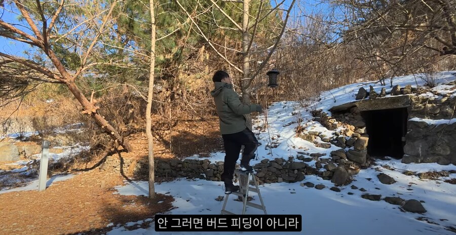 새 모이통은 무조건 높이 달 수록 좋은 이유_9.png