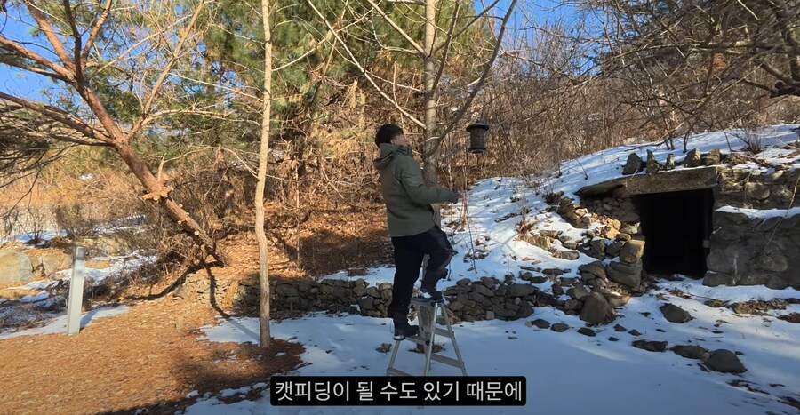 새 모이통은 무조건 높이 달 수록 좋은 이유_10.png