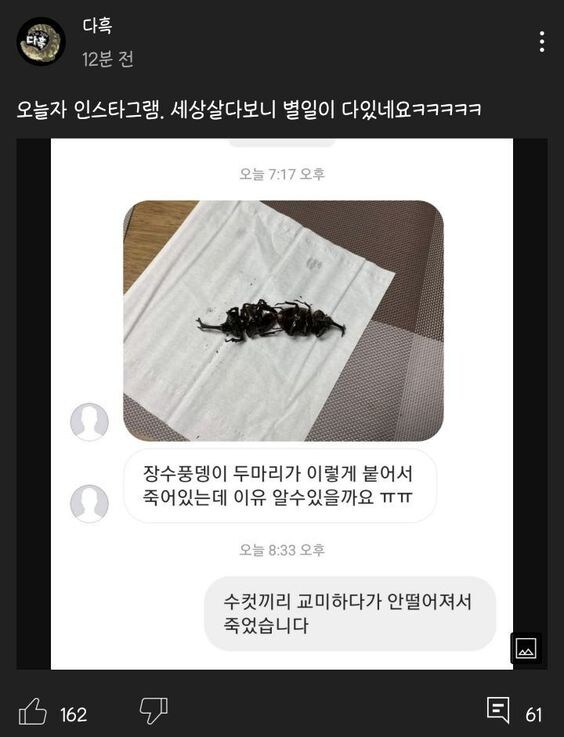 곤충 유튜버도 난생 처음 보는 상황_1.jpg