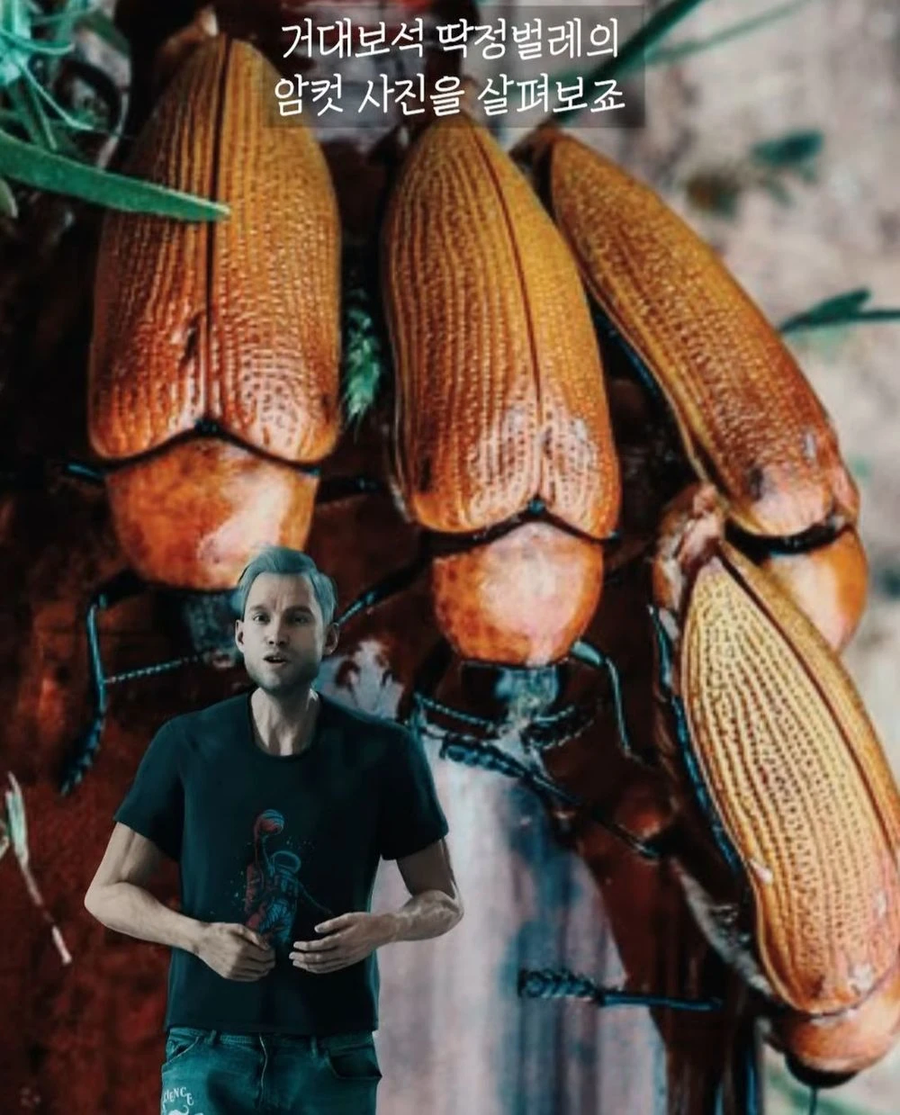 거대 보석 딱정벌레가 급감했던 이유_8.webp