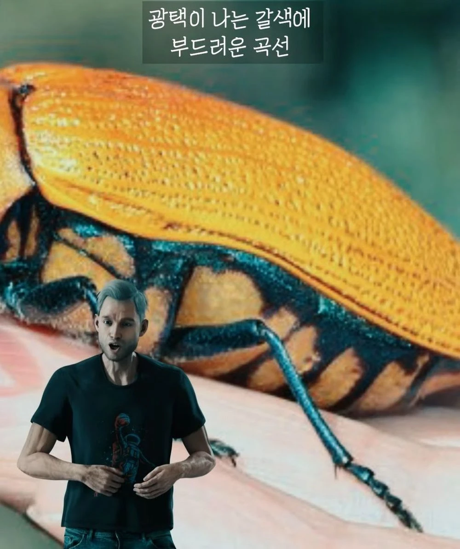 거대 보석 딱정벌레가 급감했던 이유_9.webp