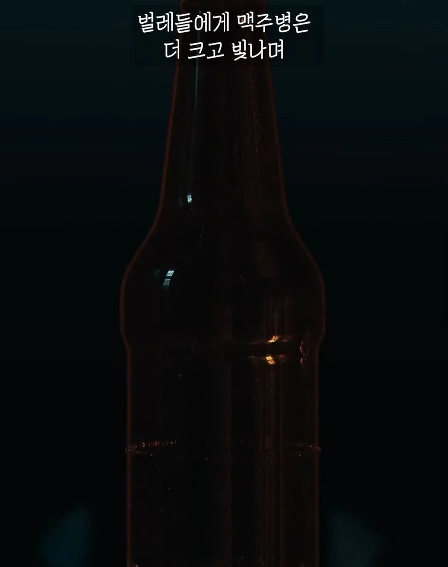 거대 보석 딱정벌레가 급감했던 이유_11.webp