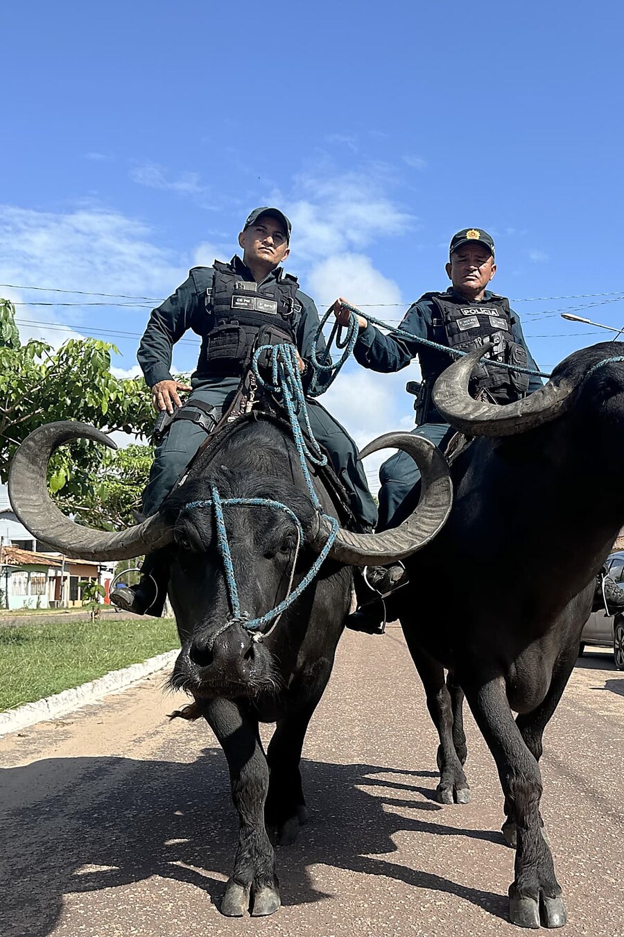 세상에서 단 한군데 있는 특수 경찰_2.jpg