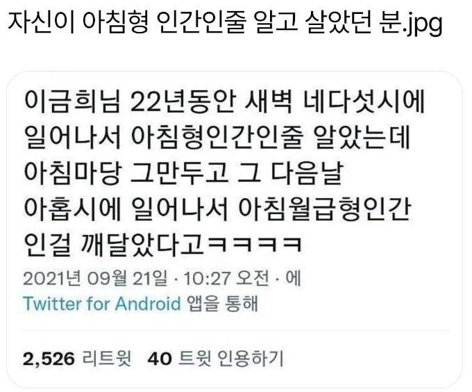 아침형 인간인 줄 알았던 방송인.jpg_1.png