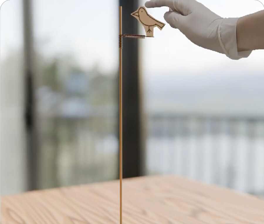 흔한 딱따구리 모형의 위력_1.jpg