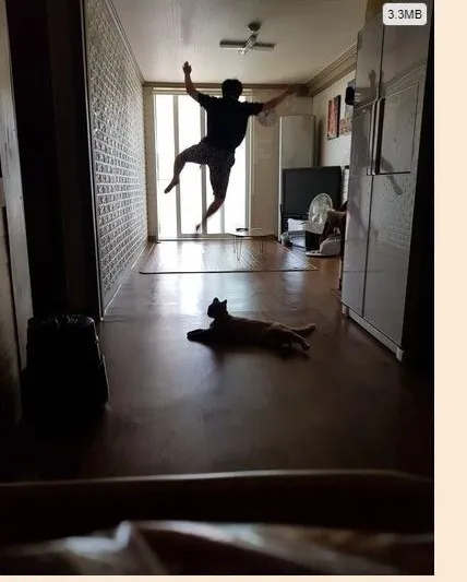 유부남들은 보기만해도 전후사정을 모두 안다는 짤_1.webp