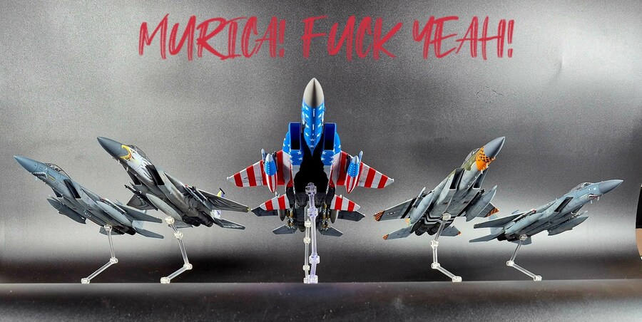 1/72 F-15C 캘리포니아 144전투비행단 기념기 완성_13.jpg