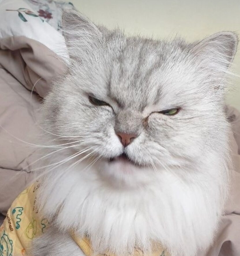 알비온으로 진입시 NE:1000 NE:4005 에러코드._3.jpg