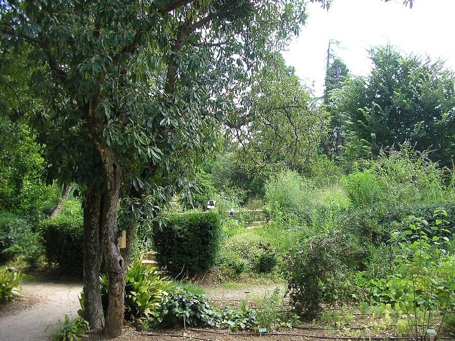 파브르가 한국이랑 일본에서만 유명하다?_2.jpg