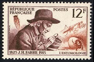 파브르가 한국이랑 일본에서만 유명하다?_4.jpg