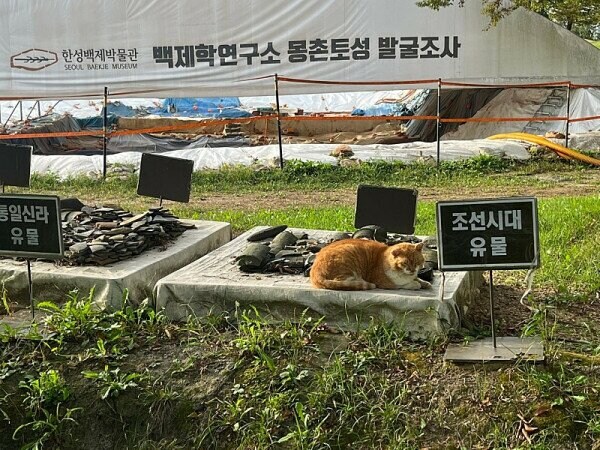 와 조선 유물 발굴 보는데 선조들 기술력 미쳤네_1.jpg