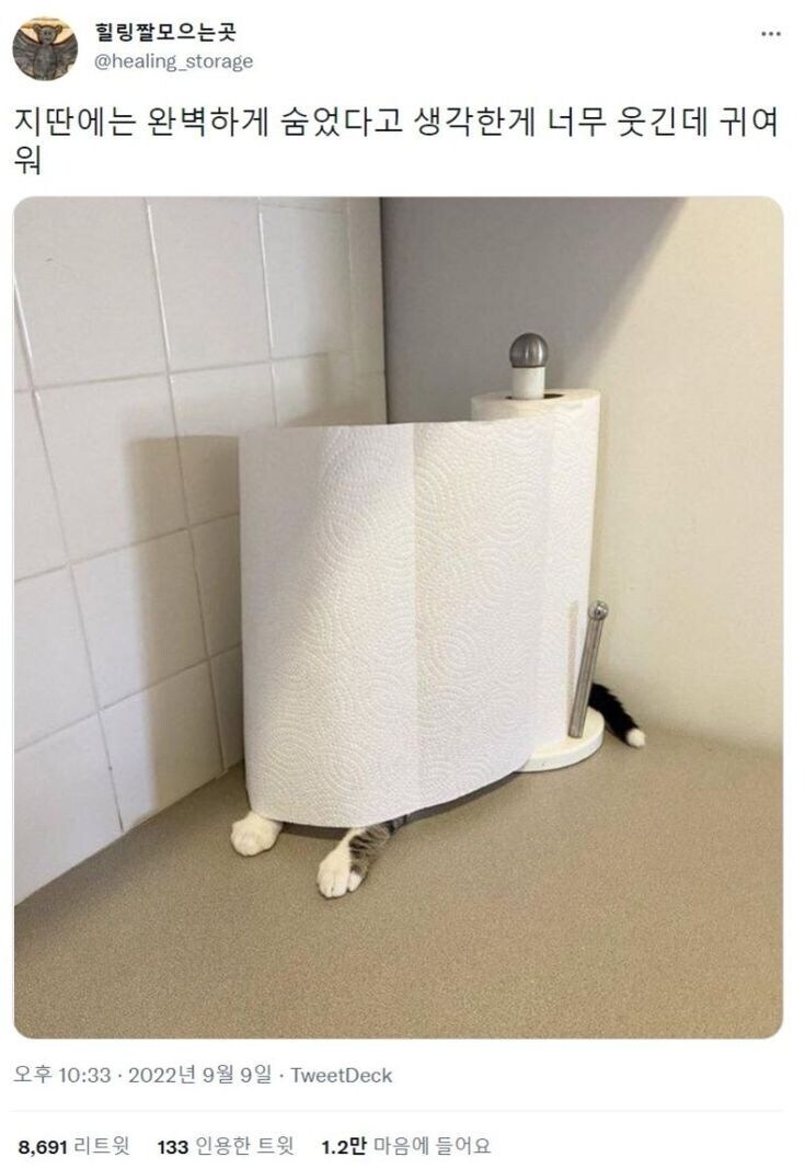 숨은 고양이들.jpg_5.jpg