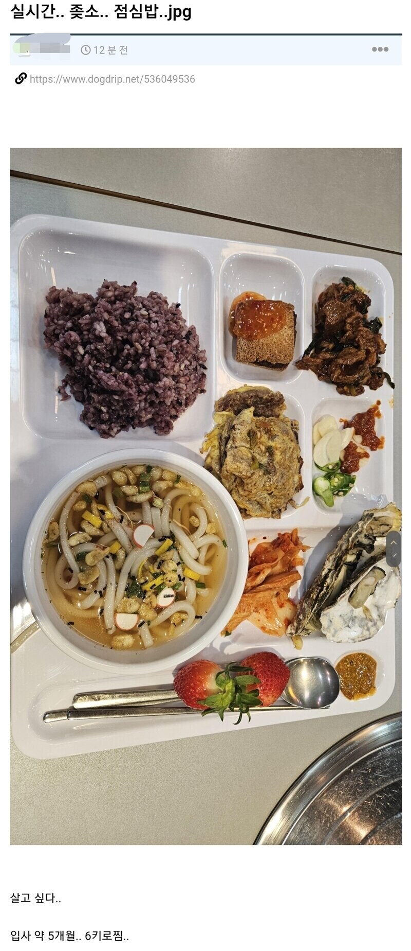 흔한 ↗소 점심밥 때문에 고통이라는 사람_1.jpg