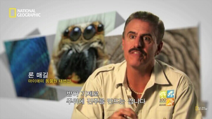 다큐)진주 만드는 방법_4.jpg