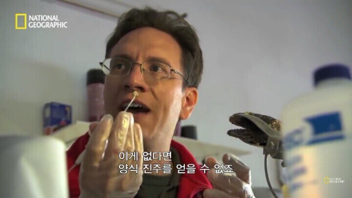 다큐)진주 만드는 방법_7.jpg