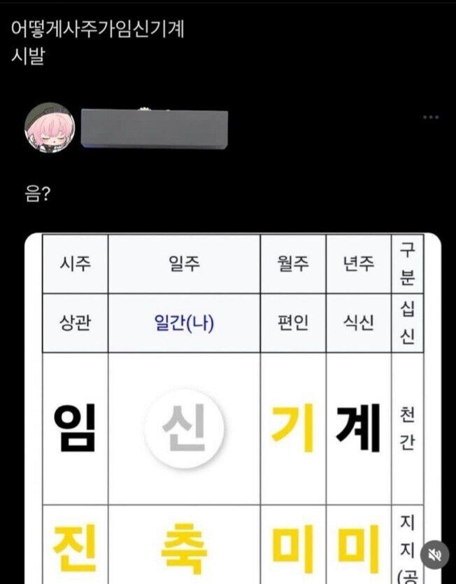 사주가 임신기계_1.jpg