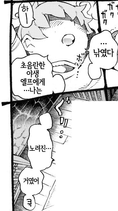 샤낭꾼 호빗의 함정에 야생 엘프가 걸렸다.manhwa_13.jpg