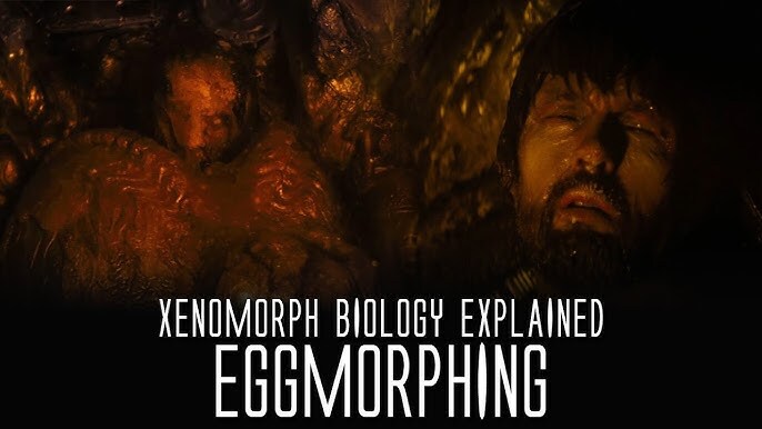 에일리언) 에일리언 시리즈는 번식 방식이 변화가 많이 됨_1.jpg