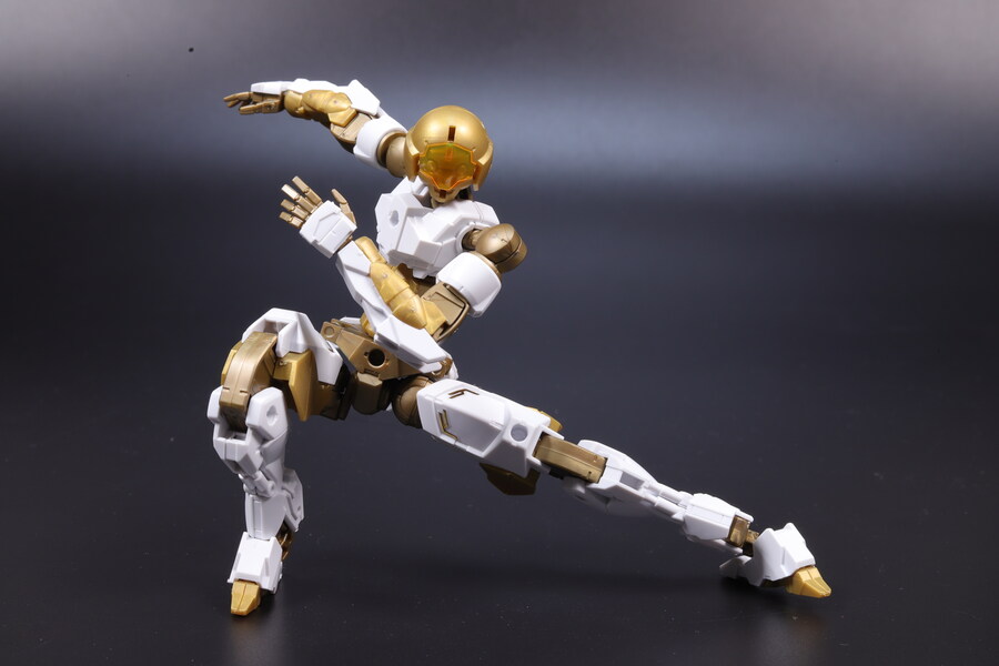 30MM] 스피나티오 로열 나이트 타입_5.jpg