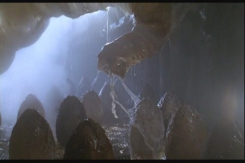 에일리언) 에일리언 시리즈는 번식 방식이 변화가 많이 됨_4.jpg